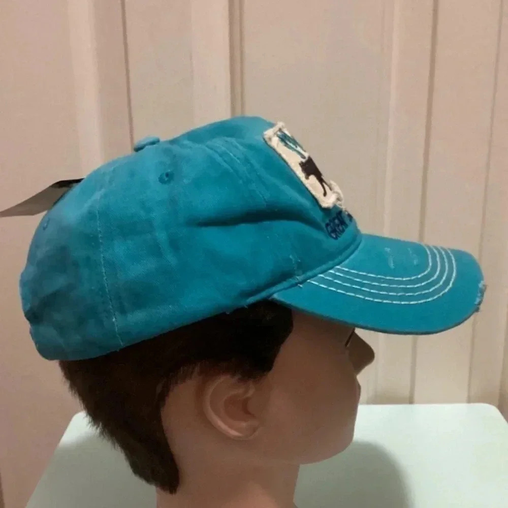NWT Mama Bear Smoky Mountains Distressed Strapback Hat - Picture 2 of 7